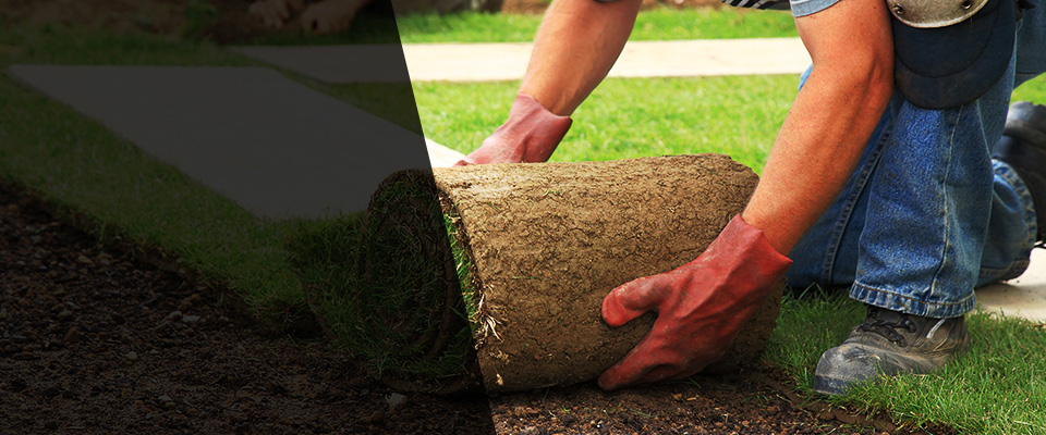 Lawrenceburg Landscapers